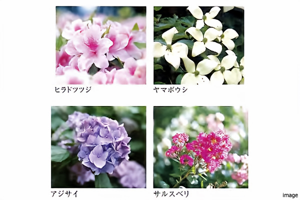 植栽イメージ｜パークハウス諏訪山PRESENCE